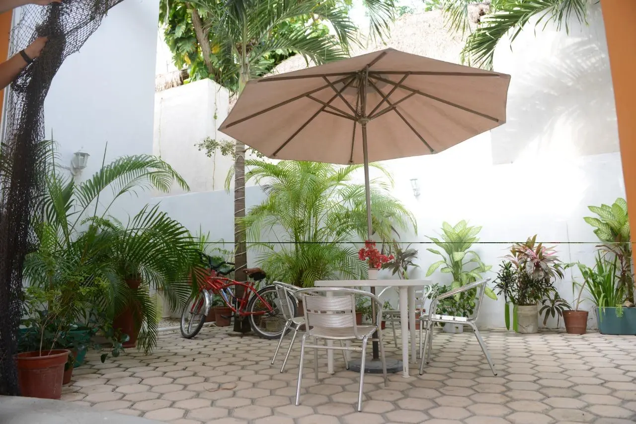 Vista exterior y selva